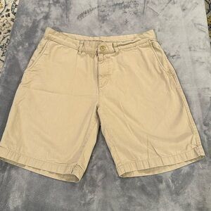 Mens Patagonia shorts, size 34